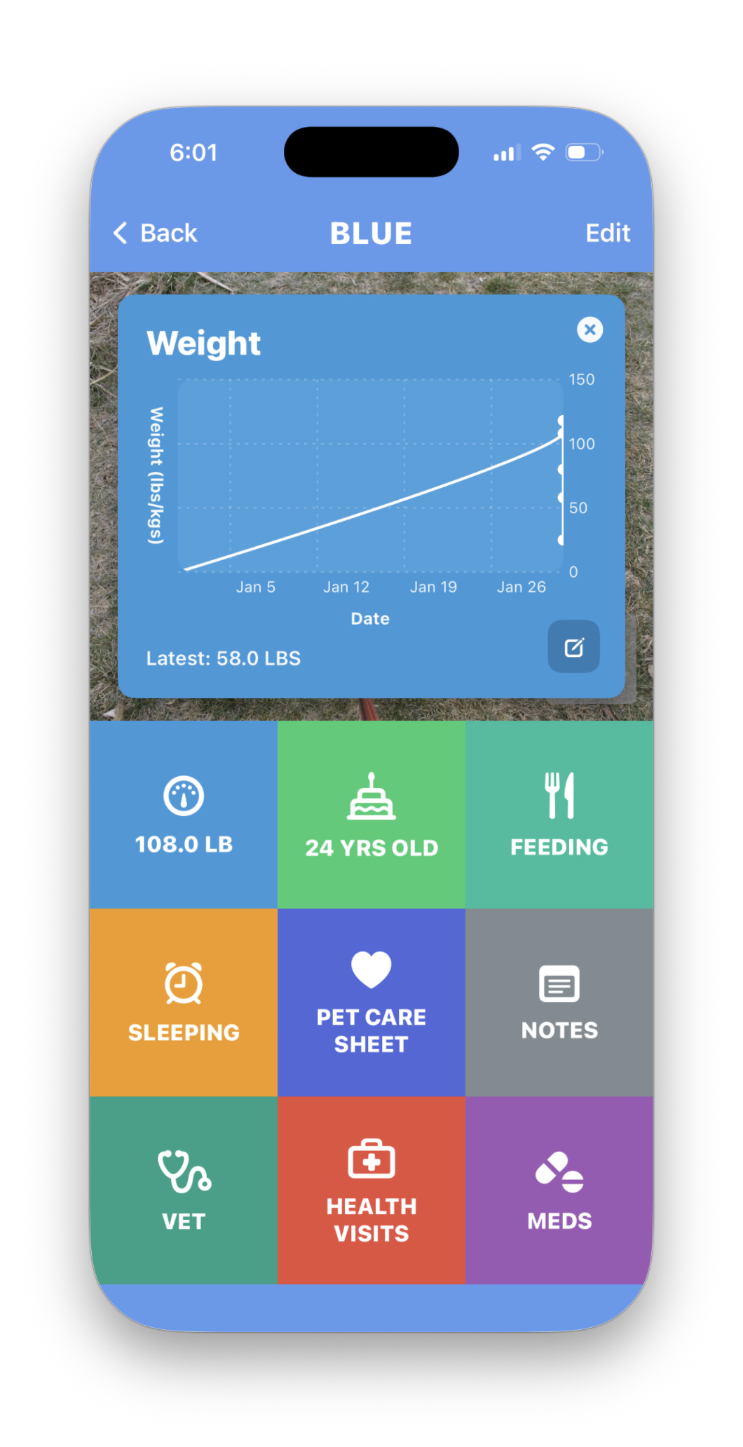 Peef weight history for a pet