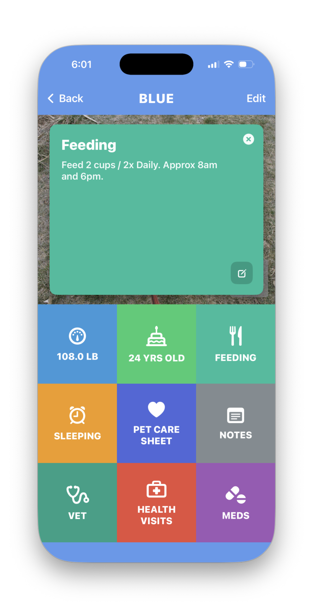 Peef pet feeding instructions